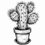 Cactus Plant Drawing For Coloring Pot PNG Transparent  sketch template