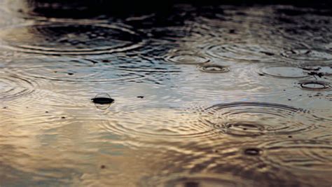 Night Rain Puddle Surface Reflection Stock Footage Video 2121548 - Shutterstock