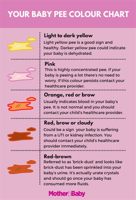 Understanding baby pee: colour, smell and frequency