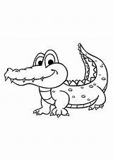 Alligator Printable Coloring Pages sketch template
