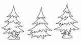Spruce Tree color Variation For coloring page Vector Image sketch template