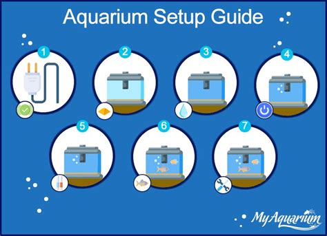 75 Gallon Aquarium Setup Guide Step by Step | My Aquarium