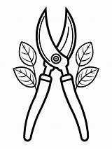 Pruning Shears Secateurs coloring Book Pages For Children And Adults  sketch template
