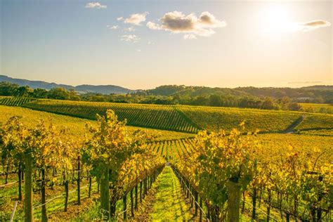 12 Top Napa Valley Wineries to Visit | Travel | US News