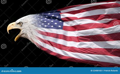 Patriotic Eagle And Flag Stock Photos - Image: 22408183