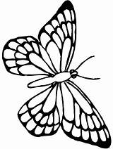 Cute Butterfly Coloring Pages At GetDrawings  Free Download sketch template