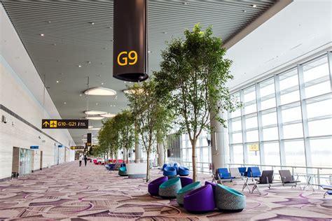 LOOK: Changi Airport Terminal 4, "Singapore's Newest Airport Terminal" | Blogs, Travel Guides ...