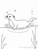 Otter Coloring Pages  10 Free Printable sketch template