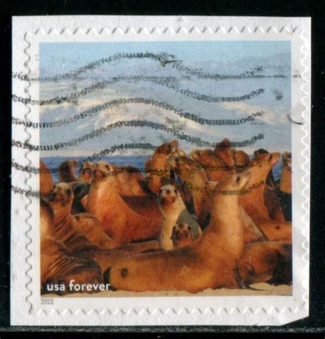 5713m US (60c) National Marine Sanctuaries - Sea Lions SA, used ...