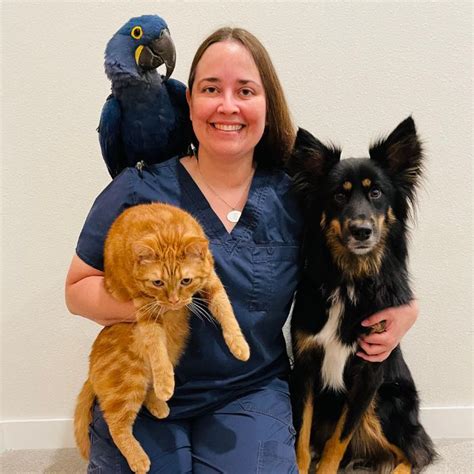 Veterinarian in Collinsville, IL | Village Vet Hospital