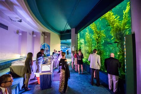 Host your next party at Birch Aquarium at Scripps | Your guests will ...