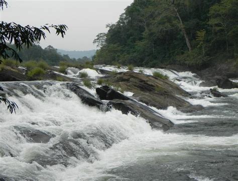 Vazhachal Waterfalls Thrissur, Timings, Entry Fee, Things to do