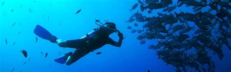 Diving Center Makadi Bay - courses, daily diving, snorkeling