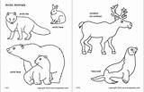 Arctic Polar Animals  Free Printable Templates & Coloring Pages sketch template