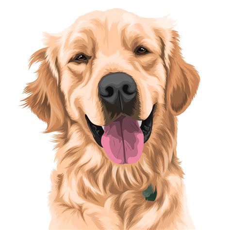 Golden Retriever | Happy Golden Retriever Dog Illustration | Vector Pets | Your Pet Photos into ...