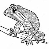 Gecko Coloring Page 29483 23772 sketch template