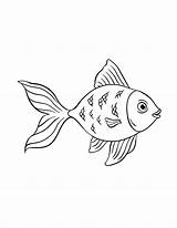 Goldfish Isolated Coloring Page For Kids Color Pond Fish Vector  sketch template