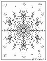 Free SPIDERS Coloring Pages For Download Printable PDF sketch template
