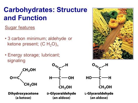 Carbohydrates Structure And Function