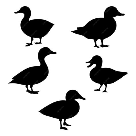 Premium Vector | Duck set of black silhouettes vector