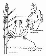 Frog Pond Coloring Page sketch template