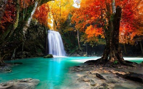 colorful, Trees, Waterfall, Nature, Tropical, Forest, Fall, Landscape ...