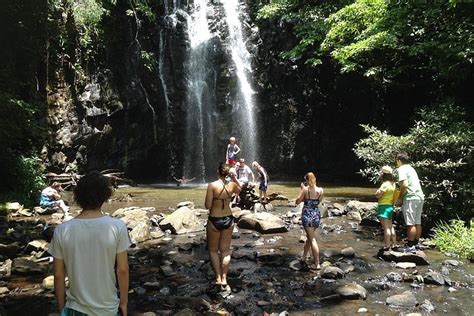 2023 Private Tour: Tropical Rainforest and Waterfalls Day Trip from Cairns