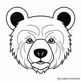 Bear Face Coloring Pages  Free & Printable sketch template