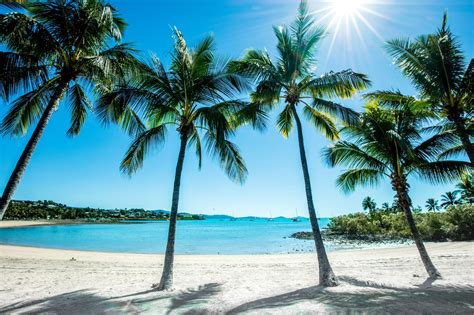 Tropical delight. Your guide to QLD’s Airlie Beach and surrounds | BIG4