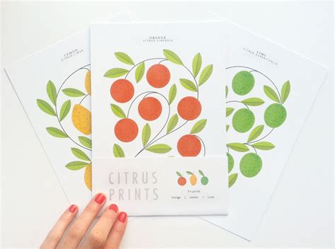 Citrus Print Set by watersounds on Etsy