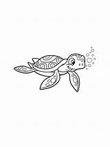 Printable Sea Turtle Coloring Page sketch template