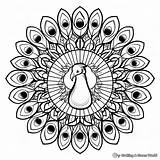Peacock Mandala Coloring Pages  Free & Printable sketch template