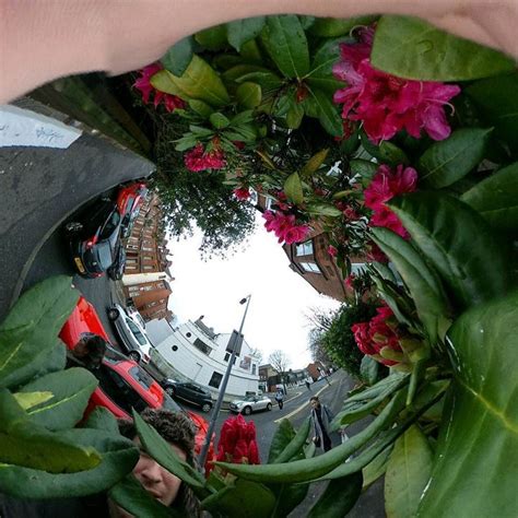 a fish eye view of some flowers and cars