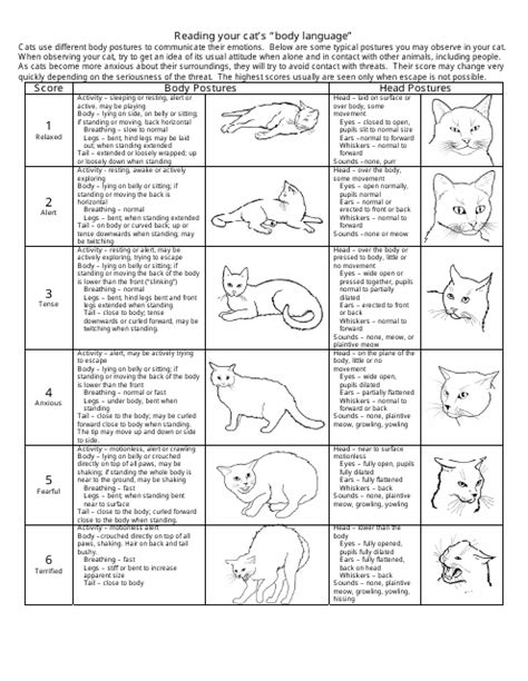 Cat Body Language Chart - Reading Your Cat's Mood Download Printable PDF | Templateroller