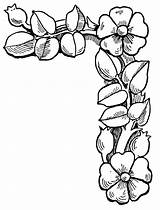 Borders Coloring Pages At GetColoringscom  Free Printable Colorings sketch template