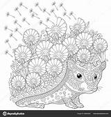 Art Zentangle Pictures Coloring Pages sketch template