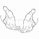 Coloring Male Two Hands Palm Up Vector Illustration Stock  sketch template