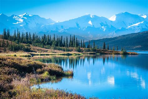 Denali National Park Alaska Wilderness / Denali National Park Travel Guide Alaskatravel Com ...