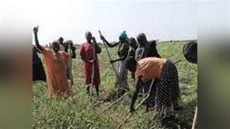 Ngok-Twic conflict hampers agriculture, education: Abyei paramount chief - South Sudan