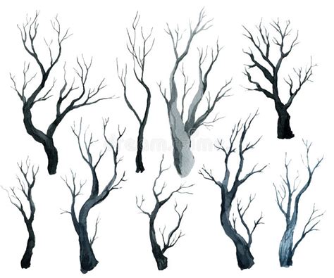 Gray Black Black Forest, Trees and Branches, Watercolor Hand Drawing Stock Illustration ...