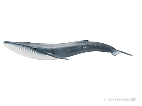 Schleich 14696 blue-whale 27 cm Series Water Animals