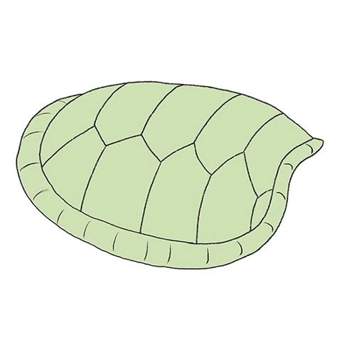 How to Draw a Turtle Shell - Easy Drawing Tutorial For Kids