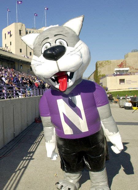 93 best College Mascots: Big Ten images on Pinterest | Collage football ...