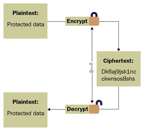 Mastering Malware Analysis