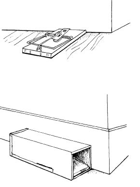 How to set and place a mouse trap – NIPCAM