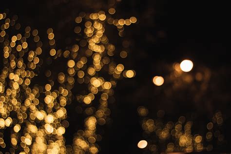 Fotos gratis : ligero, noche, cielo, iluminación, amarillo, árbol, luz de la calle, oscuridad ...