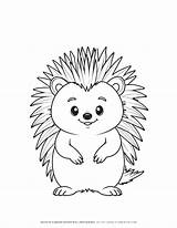 Porcupine Outline Coloring Page For Kids  Fun And Educational Animal sketch template