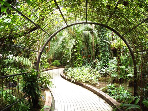 File:Kyoto Botanical Garden - inside conservatory.JPG - Wikipedia, the ...