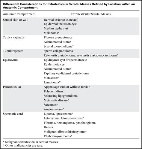 Gamut of Extratesticular Scrotal Masses: Anatomic Approach to Sonographic Differential Diagnosis ...