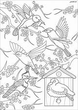 Flying Birds Coloring Page sketch template